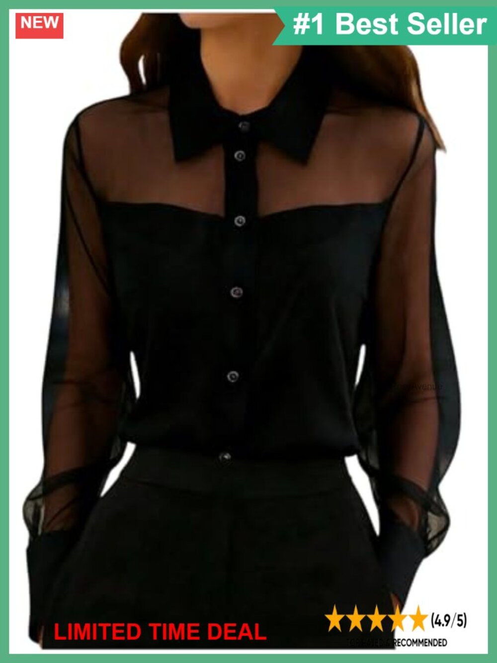 Sheer Mesh Collared Button Front Long Sleeve Office Blouse